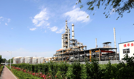 Plasticizer