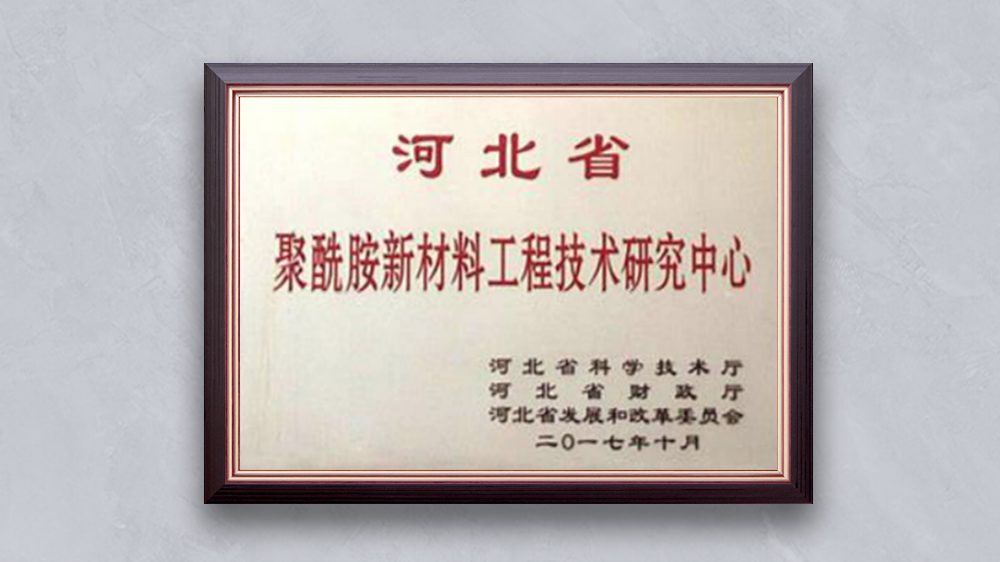 Cangzhou Base "Hebei Province Polyamide New Materials Engineering Technology Research Center"